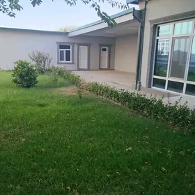SATLYK Kafe