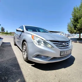 Hyundai Sonata 2010
