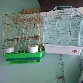 клетки