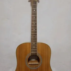 gitara100