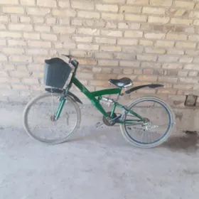 satlyk welik