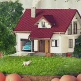 Duzmergen Satlyk plan jay