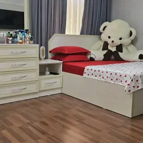 SATLYK 30 MKR 4 KOM