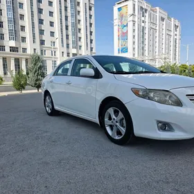 Toyota Corolla 2010