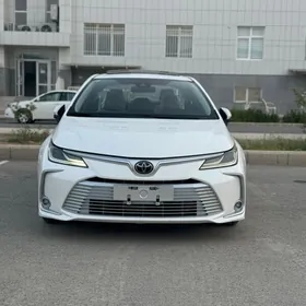 Toyota Corolla 2022