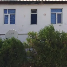 satlyk 