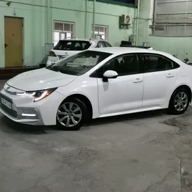 Toyota Corolla 2019