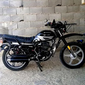 Fekon FK150-8G 2013