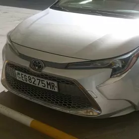 Toyota Corolla 2020