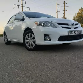 Toyota Corolla 2011