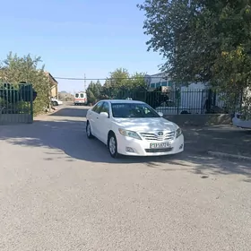 Toyota Camry 2010