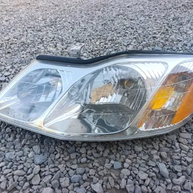 Avalon fara cep