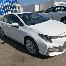 Toyota Corolla 2021