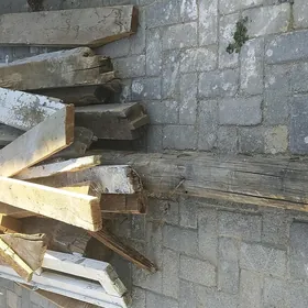 Ağaç Stapila.