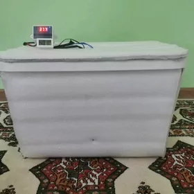Inkubator