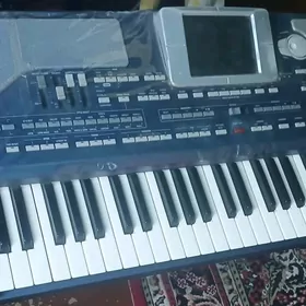 KORG  PA. 800