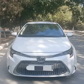 Toyota Corolla 2022