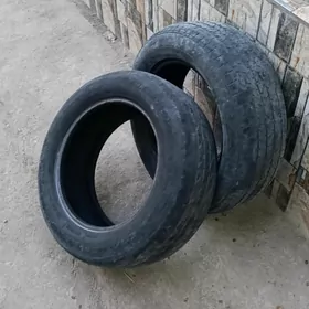 Teger 16 lyk