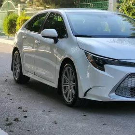 Toyota Corolla 2020