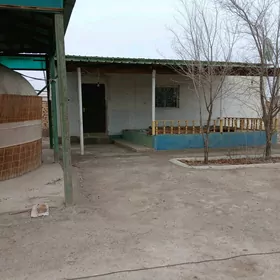 SATLYK JAÝ