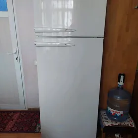Beko haladinik