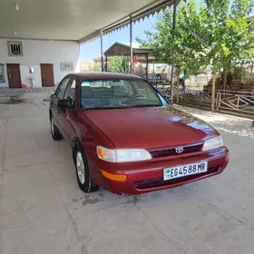 Toyota Corolla 1995