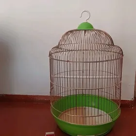 Аквариумы и Клетка