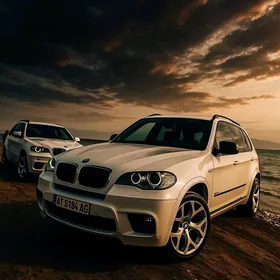 BMW X5 2010