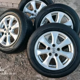 Diska okuzkelle Le r16 komplkt
