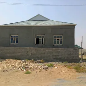 Agaç apişge. Ayna.