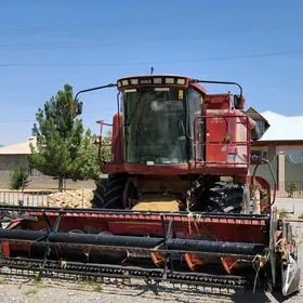 MTZ 80 2005