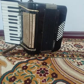Akkardeon