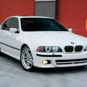 Bmw zapjas