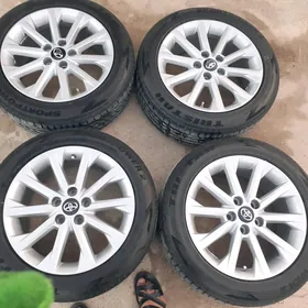 Gls diska  r 17