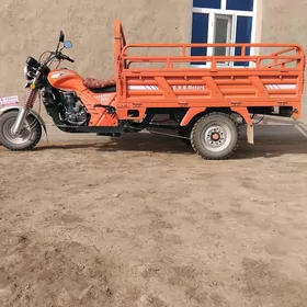Fekon FK200-14G 2025