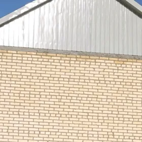 Gökdepe Hurmant gökje