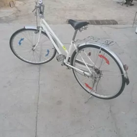 heleýrama tigir 27lik