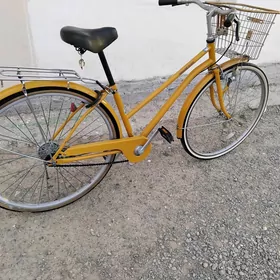 TIGIR YAPOȘKA 27 LIk