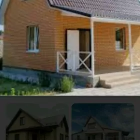 satlyk jay