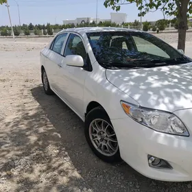Toyota Corolla 2010