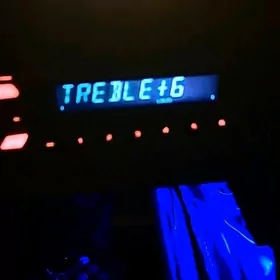 pioneer arginal