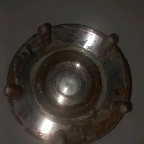 Stupitsa