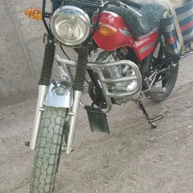 Fekon FK150-8G 2019