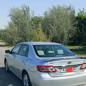 Toyota Corolla 2010