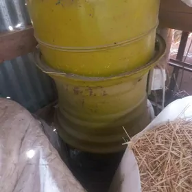 ot uwelyan
