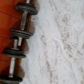 ganteller 10 kg
