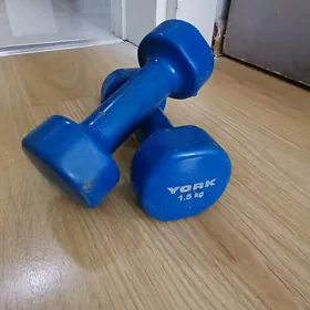 GANTEL