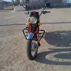 Fekon FK150-8G 2010
