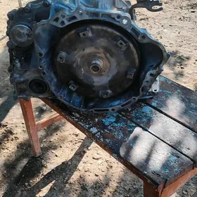 corolla korobka