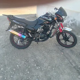 Fekon FK200-14G 2023